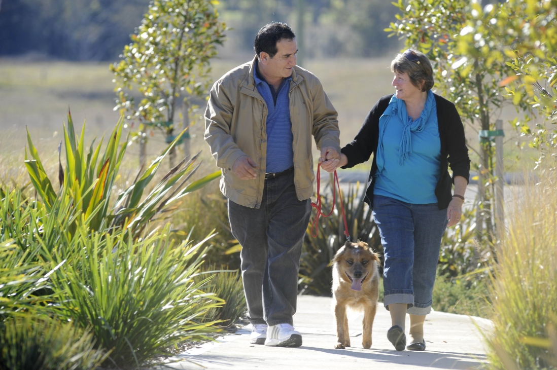 Pathways in Gregory Hills